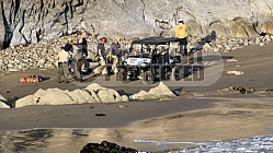 Haskels Beach Rescue