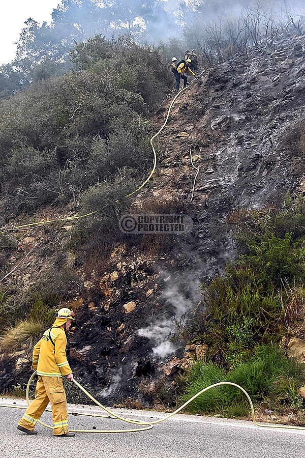 Camino Incident Camino Incident