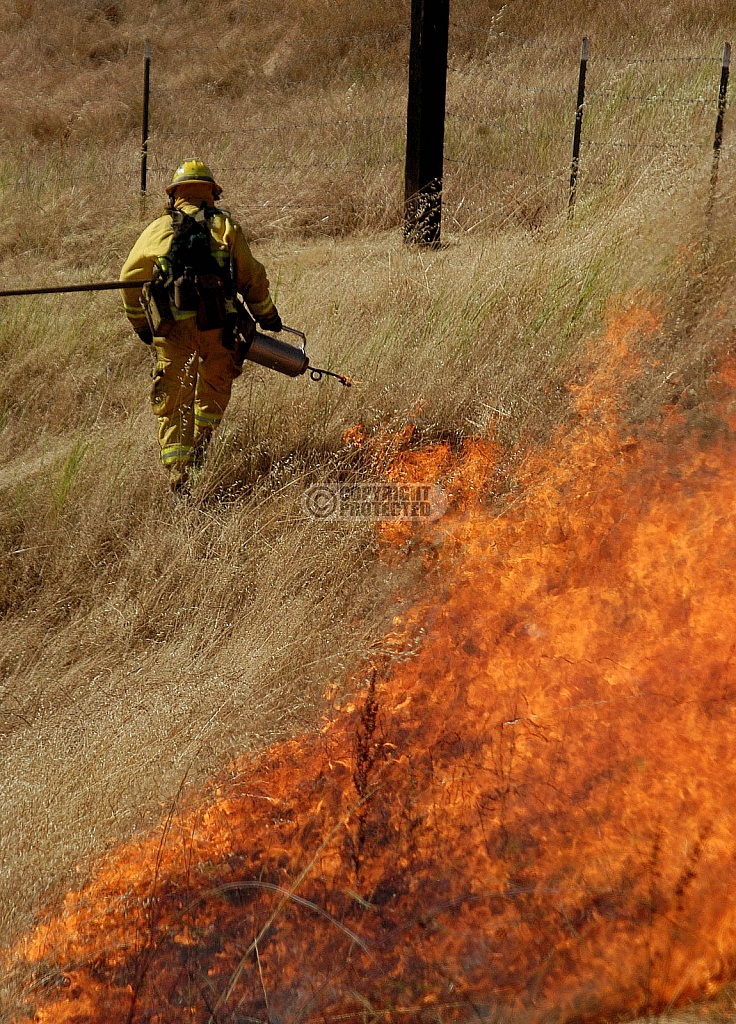 6.22.2005 Santa Clara Co. wildland training