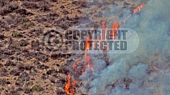 5.27.2013 White Incident