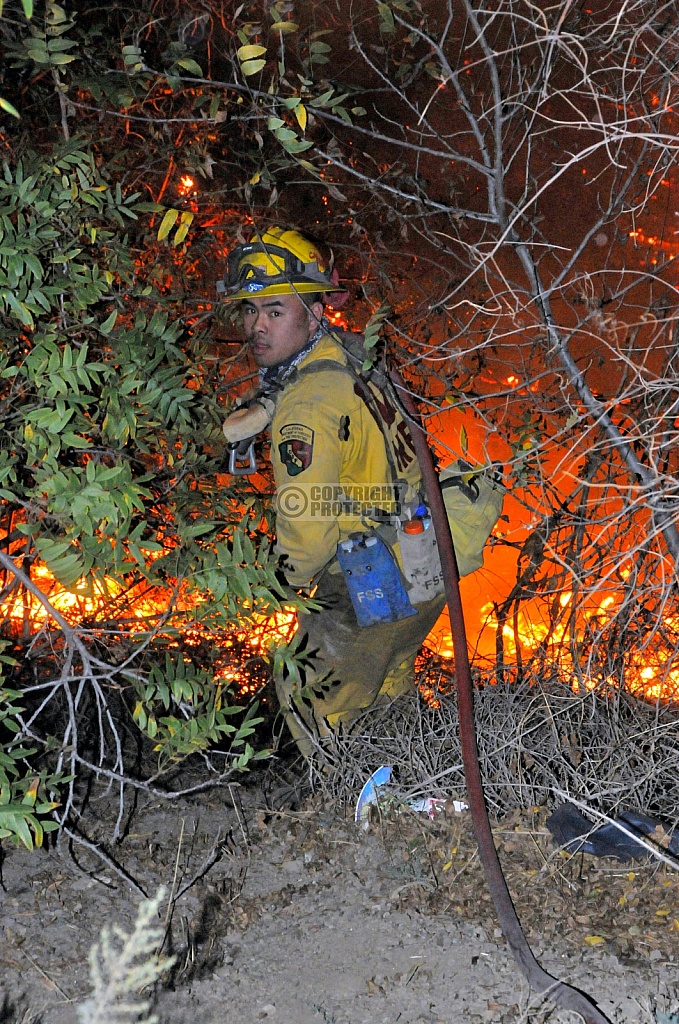 11.15.2008 Freeway Complex 11.15.2008 Freeway Complex