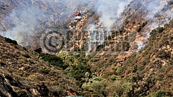 6.22.2014 Brand Incident