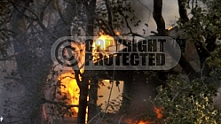 10.13.2008 Sesnon Incident