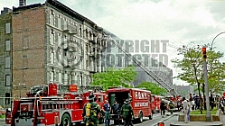 FDNY