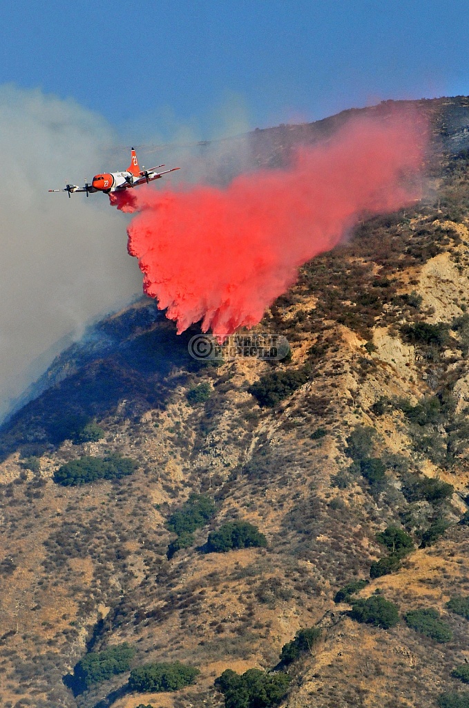 10.12.2008 Marek Incident 10.12.2008 Marek Incident