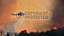 5.8.07 Griffith Incident