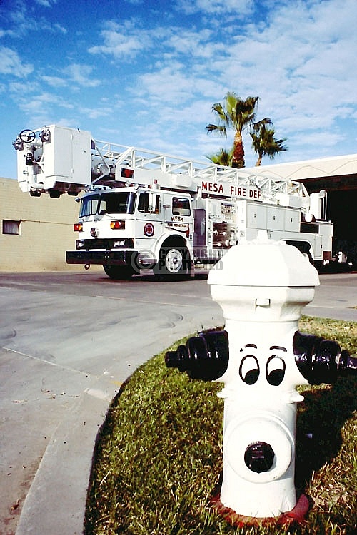 Mesa Fire Department Mesa Fire Department
