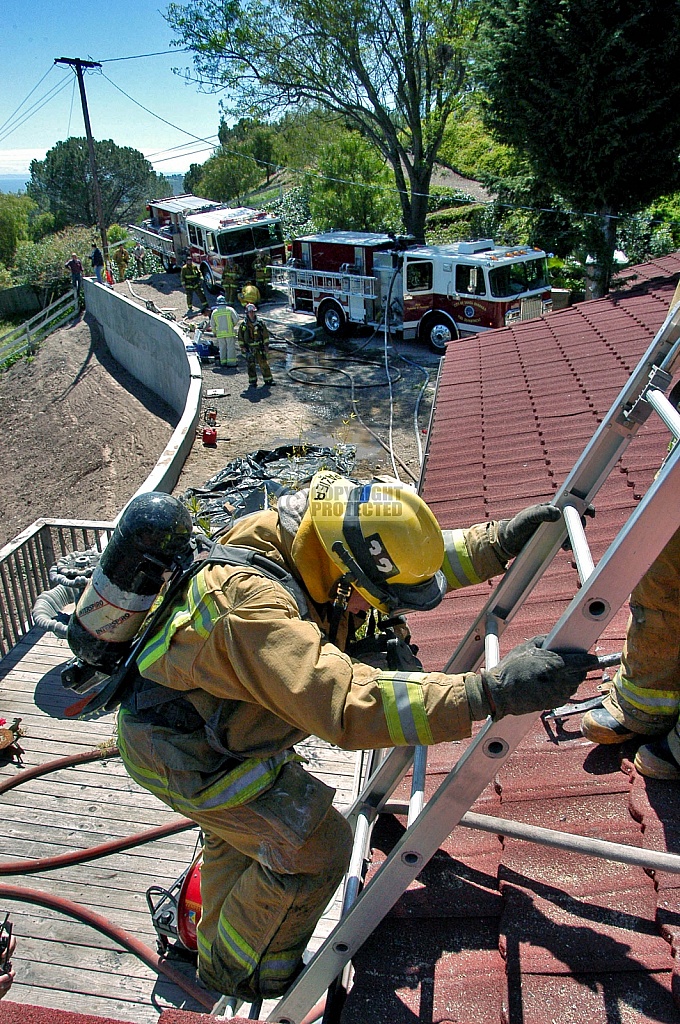 4.12.2006 Palomino Incident