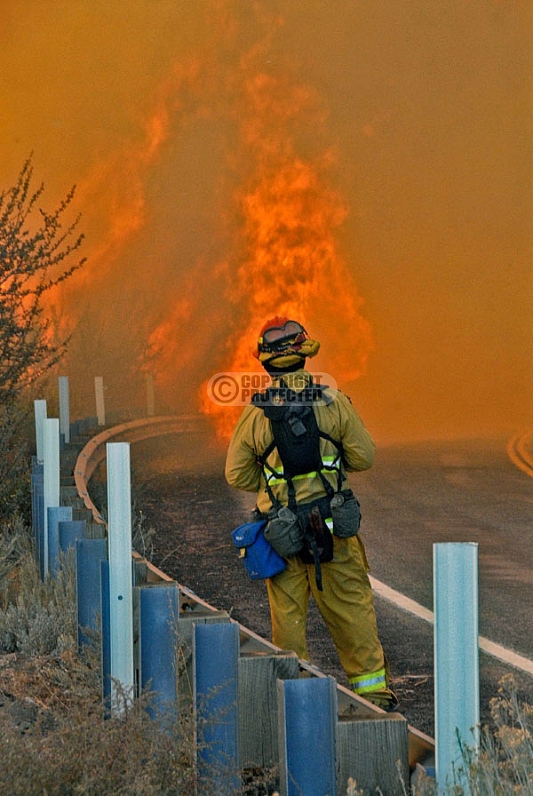 10.4.2009 Sheep Incident 10.4.2009 Sheep Incident