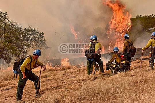 6.15.2016 Scherpa Incident