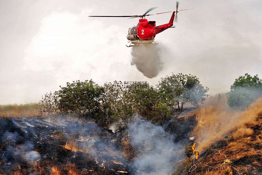 5.2.2009 Lincoln Park Incident