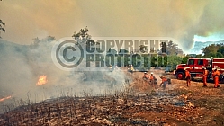 10.11.21 Alisal Incident