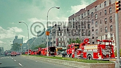 FDNY