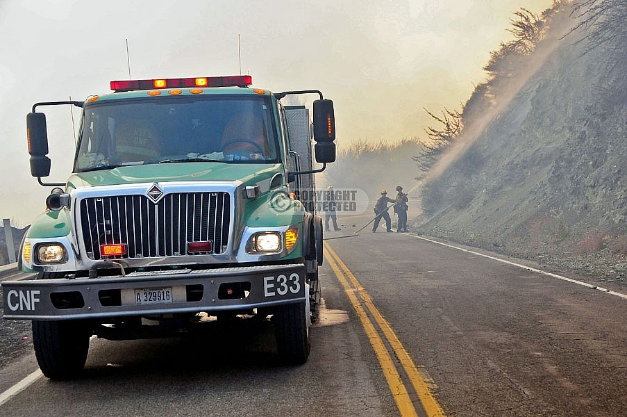 10.4.2009 Sheep Incident 10.4.2009 Sheep Incident