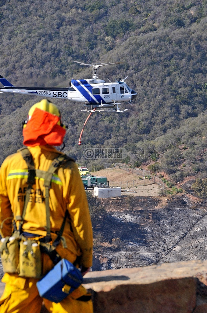 11.13.08 Tea Incident 11.13.08 Tea Incident