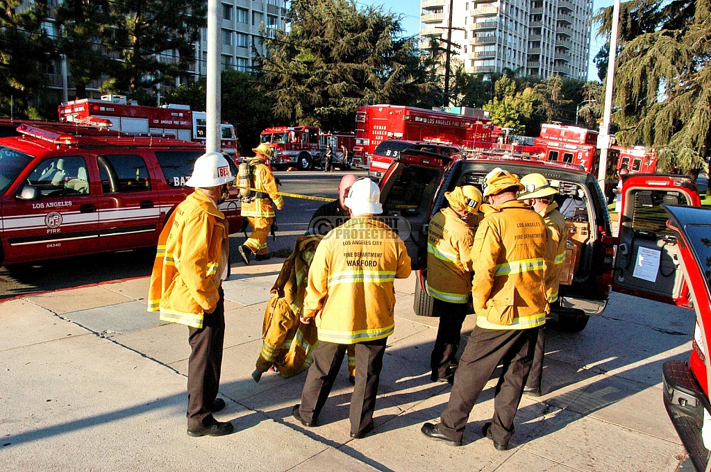9.1.2006 Los Feliz Incident 9.1.2006 Los Feliz Incident