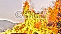 Easy Fire