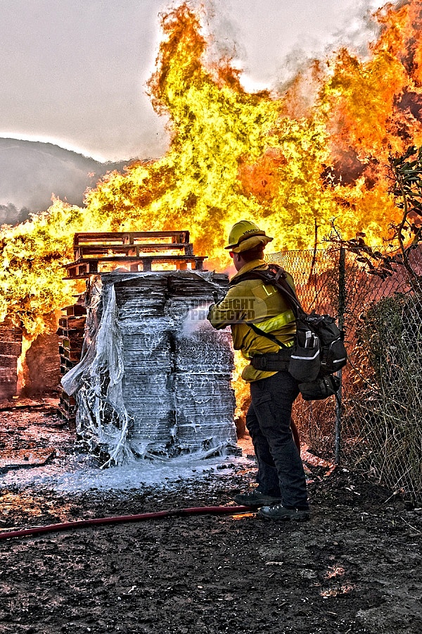 Easy Fire Easy Fire