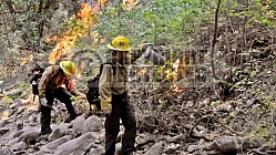 7.1.2008 Gap Incident
