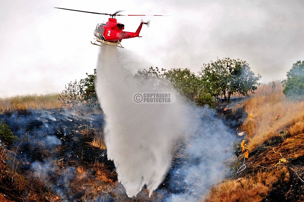 5.2.2009 Lincoln Park Incident