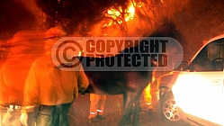 11.13.08 Tea Incident