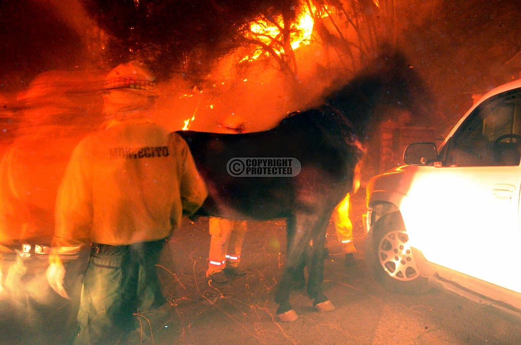 11.13.08 Tea Incident