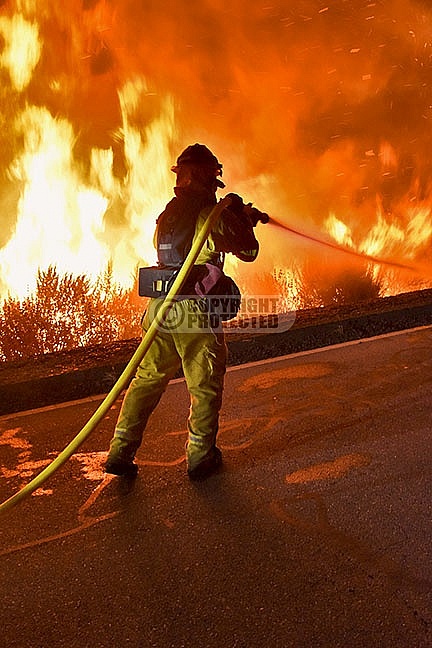 Alamo Incident Alamo Incident