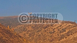 12.22.2006 Agoura Incident