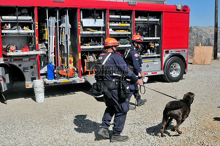 2011 Del Val Shakeout