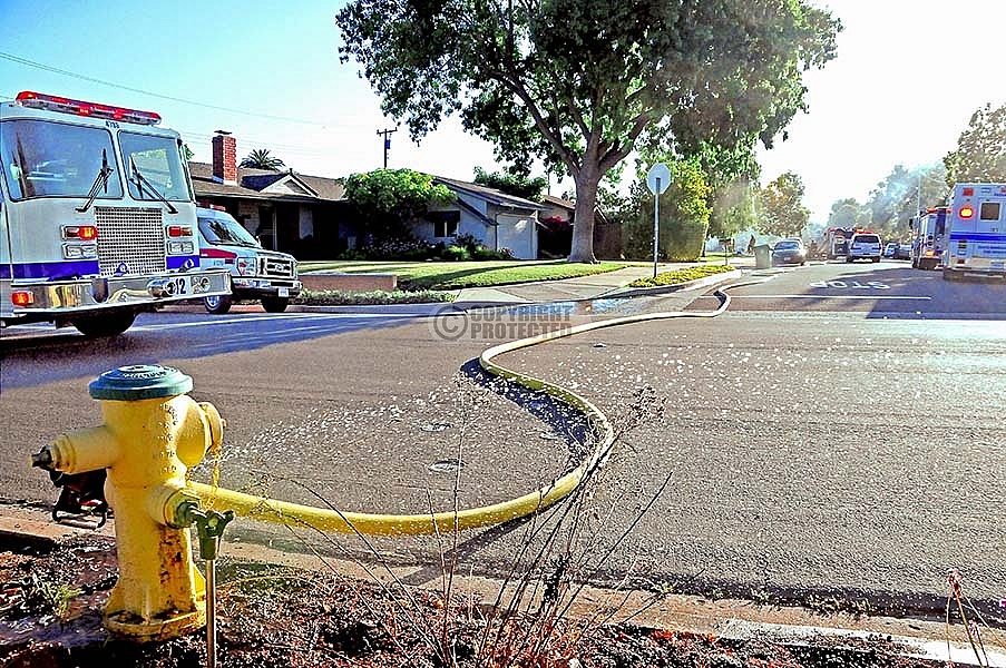 6.18.2013 Momouth Incident 6.18.2013 Momouth Incident