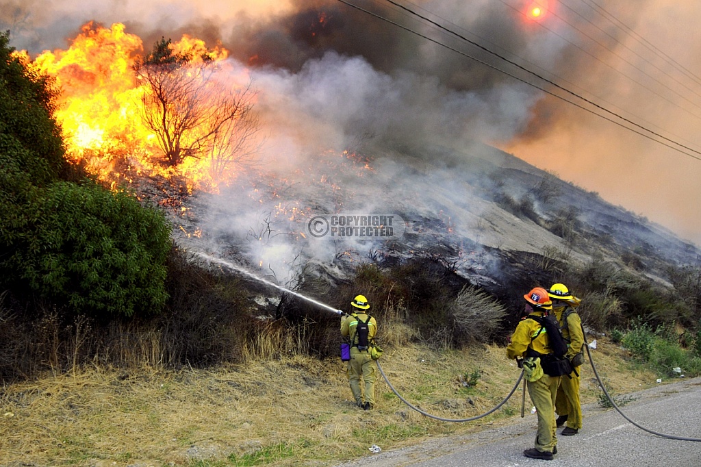 11.15.2008 Sayre Incident 11.15.2008 Sayre Incident