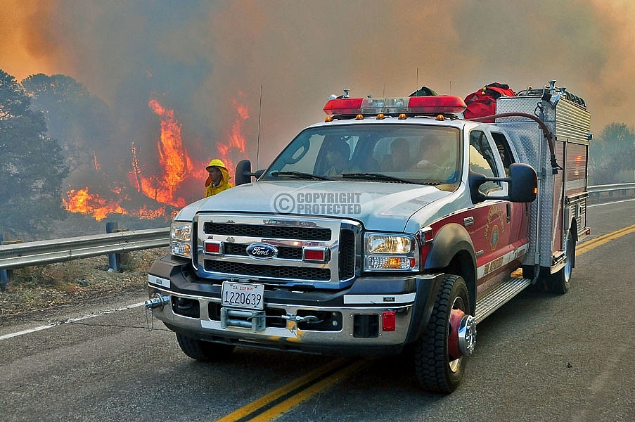 10.4.2009 Sheep Incident 10.4.2009 Sheep Incident