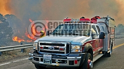 10.4.2009 Sheep Incident