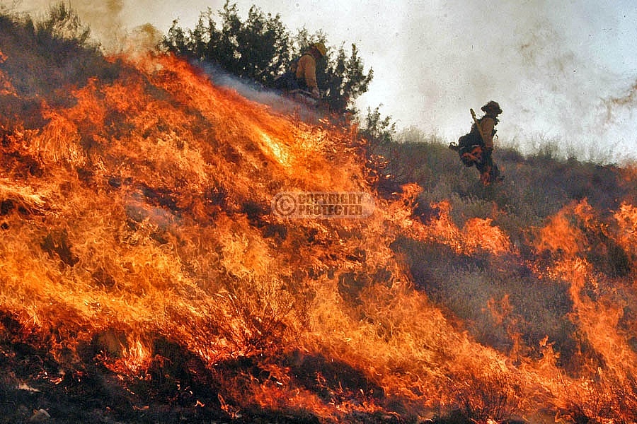 6.19.2006 Perkins Incident 6.19.2006 Perkins Incident