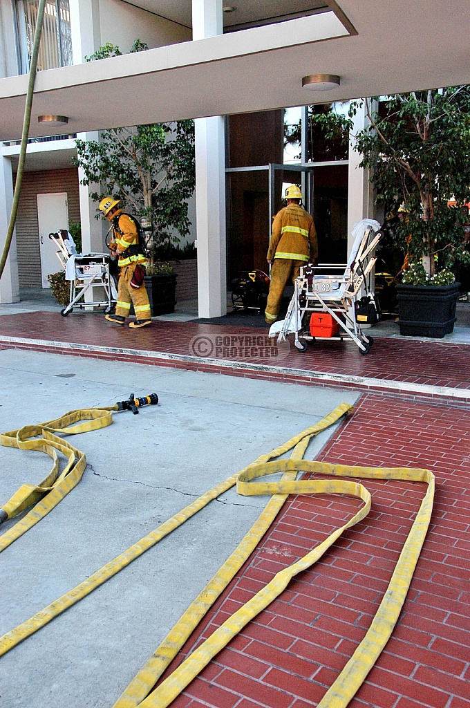 9.1.2006 Los Feliz Incident 9.1.2006 Los Feliz Incident