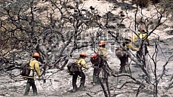 7.21.2004 Crown Incident