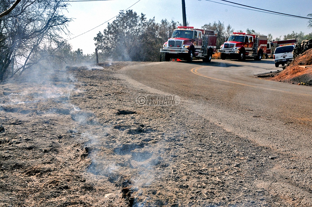 11.13.08 Tea Incident 11.13.08 Tea Incident