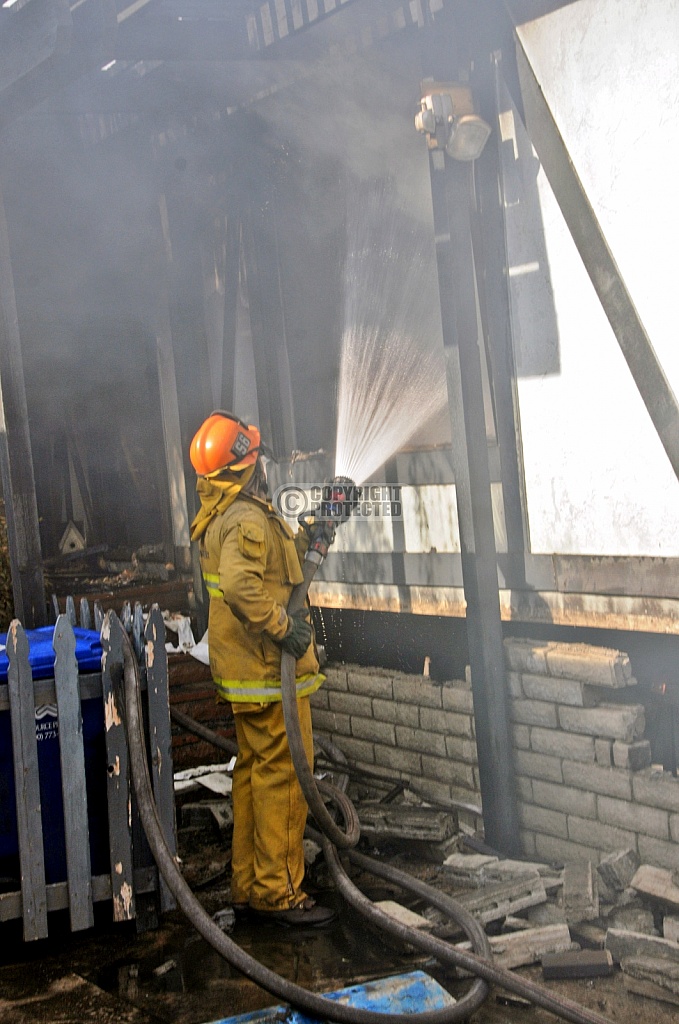 11.15.2008 Sayre Incident 11.15.2008 Sayre Incident