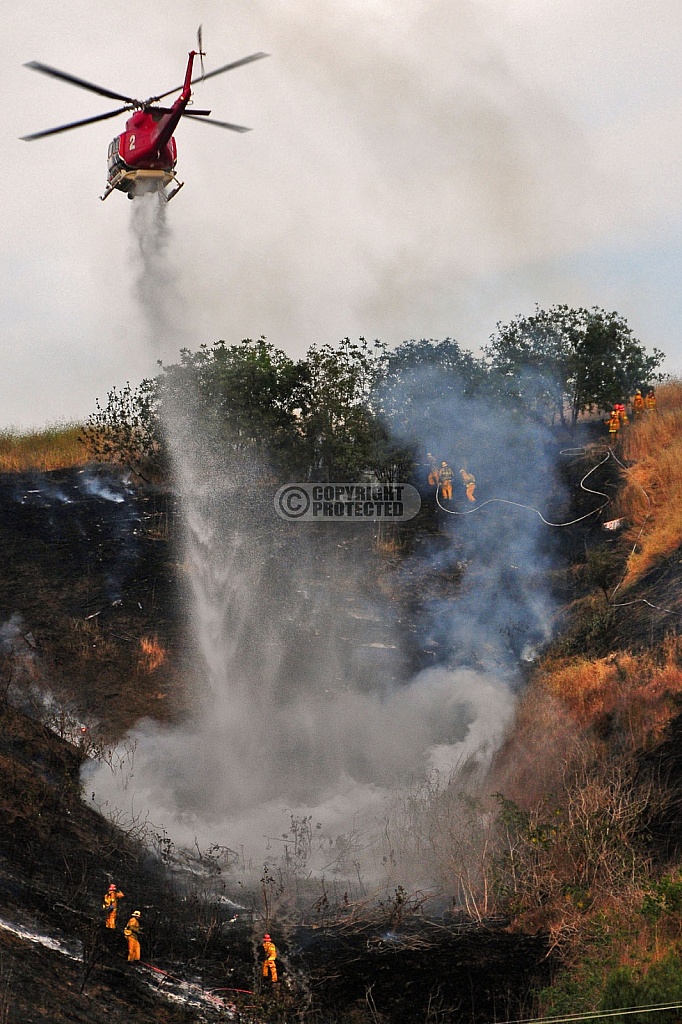 5.2.2009 Lincoln Park Incident