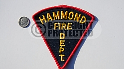 Hammond Fire