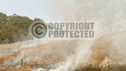 6.22.2005 Santa Clara Co. wildland training