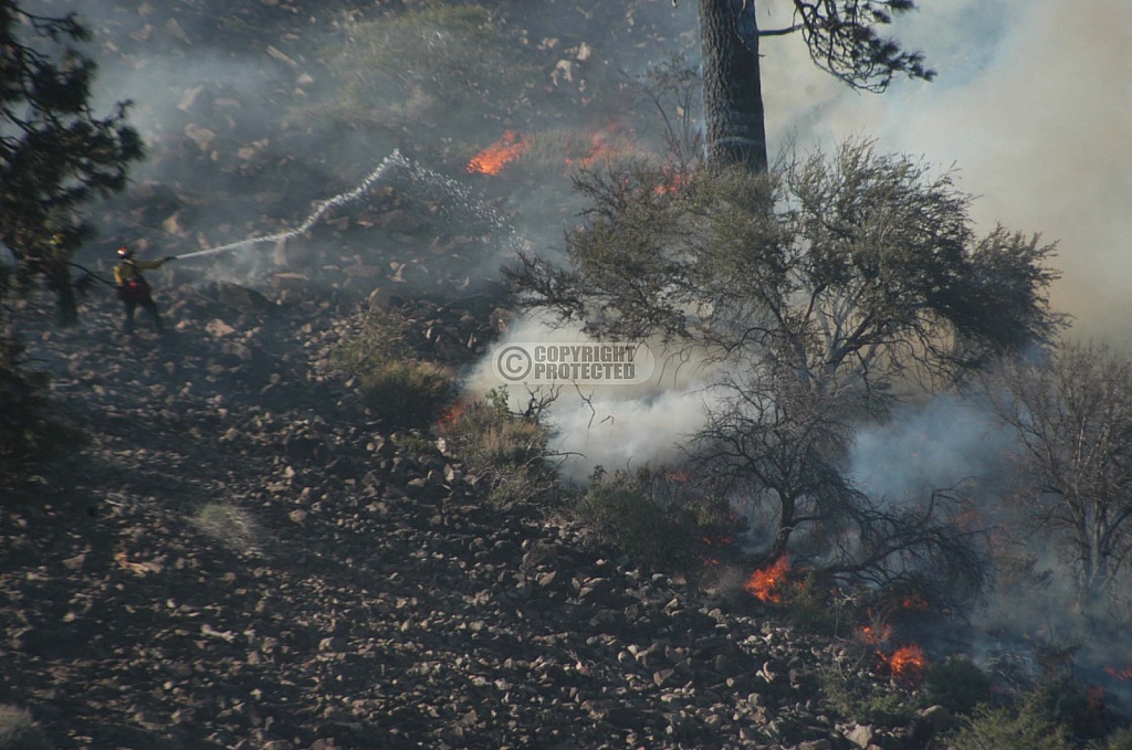 5.7.2004 Verdi Incident