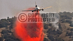 10.4.2009 Sheep Incident