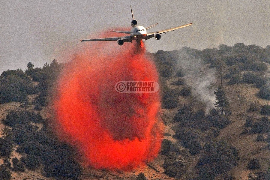 10.4.2009 Sheep Incident 10.4.2009 Sheep Incident