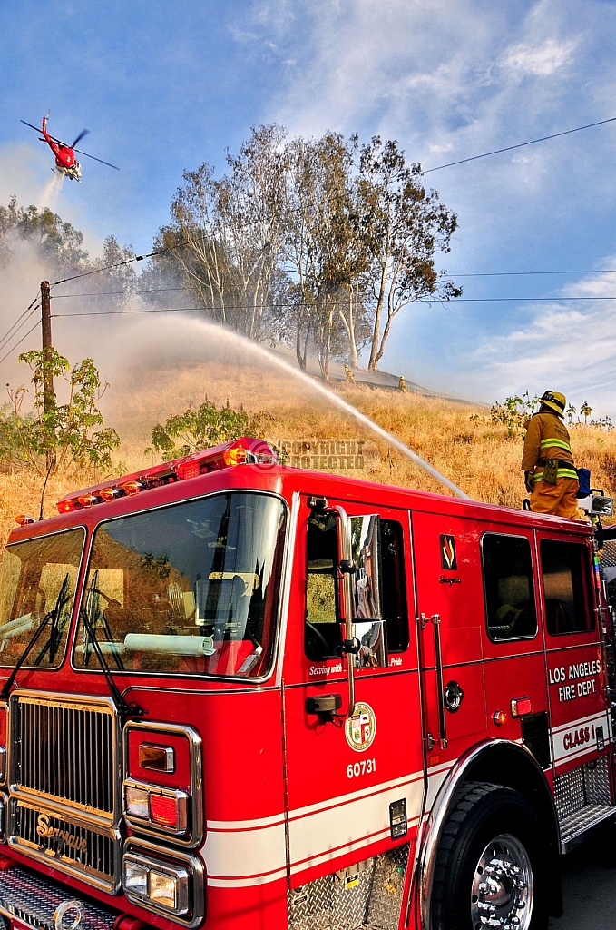 5.2.2009 Lincoln Park Incident 5.2.2009 Lincoln Park Incident