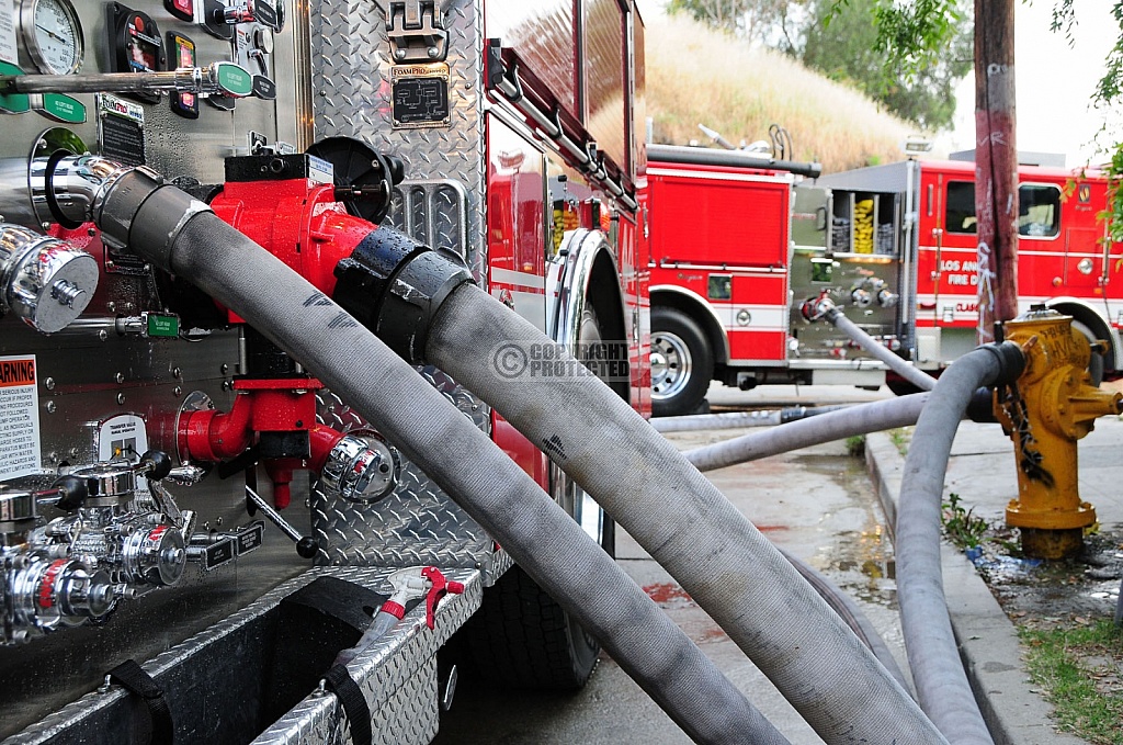 5.2.2009 Lincoln Park Incident 5.2.2009 Lincoln Park Incident