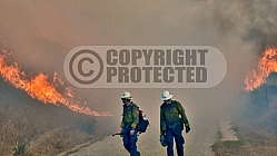 10.11.21 Alisal Incident