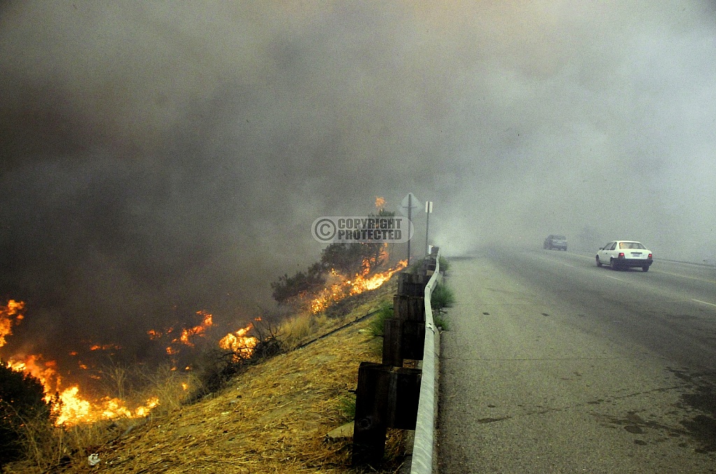 10.13.2008 Sesnon Incident 10.13.2008 Sesnon Incident