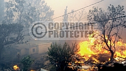 10.13.2008 Sesnon Incident