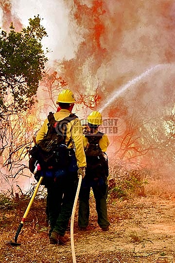 6.15.2016 Scherpa Incident